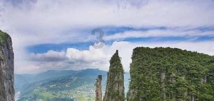莫兰迪色系
